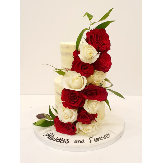 Red and white Roses Cake 