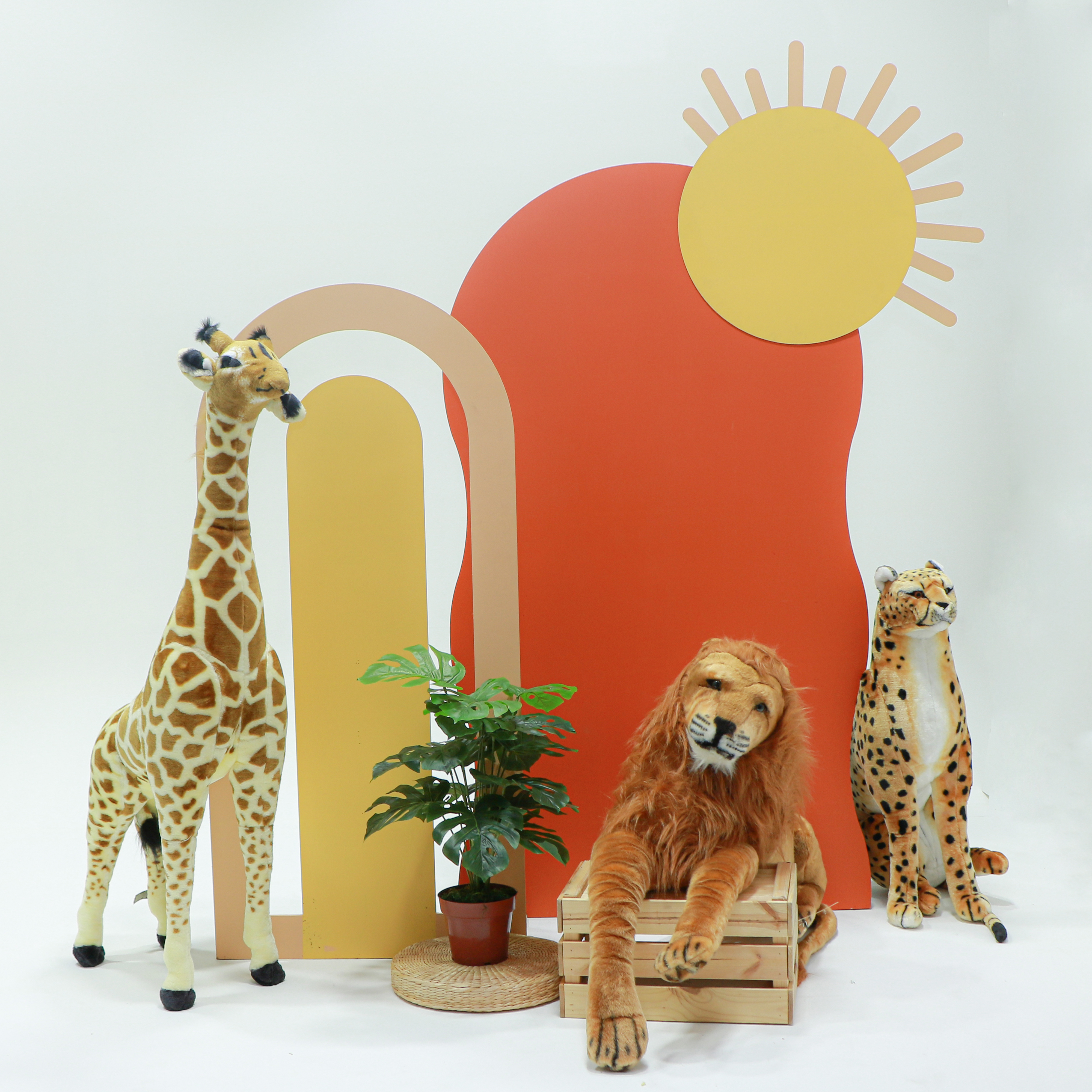 Safari theme (1 x H -1.8m x W - 1m wavy backdrop 1 x H - 1.5m x W - .70m rainbow backdrop 1x plinths cake table 3 x animals stuff toys Personalization on Backdrop)