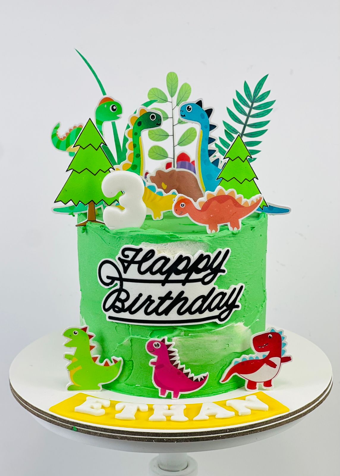 Dinosaur Cake 07
