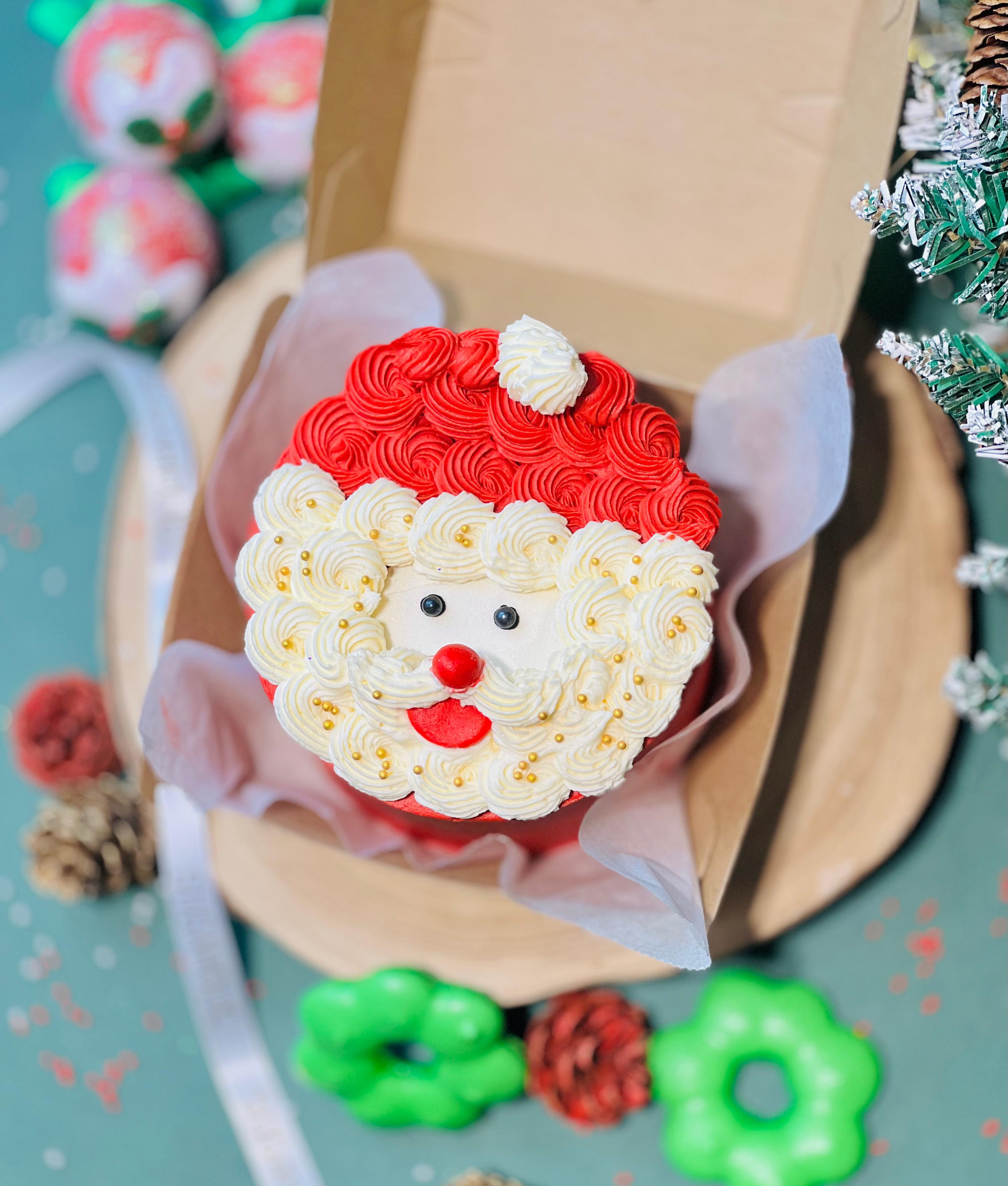 Santa Claus Bento Cake